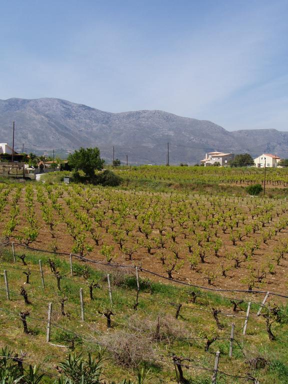 Christina Villas- Minoan Inland Pentamodi Exteriör bild